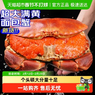 面包蟹特大母帝王蟹熟冻大螃蟹海蟹新鲜海鲜水产黄金蟹珍宝蟹