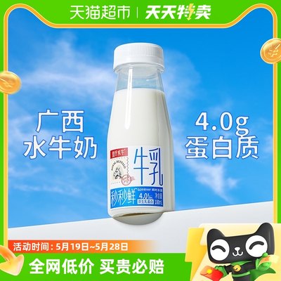 皇氏乳业秒秒鲜4.0g水牛奶鲜奶