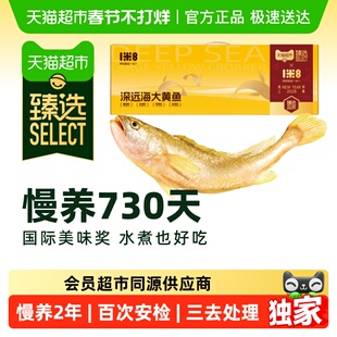 【臻选】一米八深远海大黄鱼好吃年年礼盒新鲜海鱼冰冻黄花鱼三去