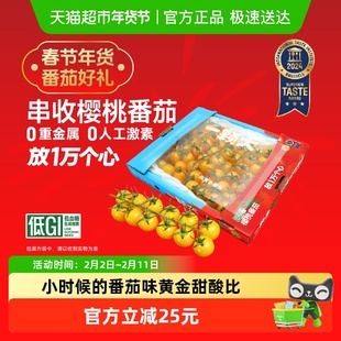 【一颗大】串收樱桃番茄甄选礼盒新鲜采摘酸甜多汁