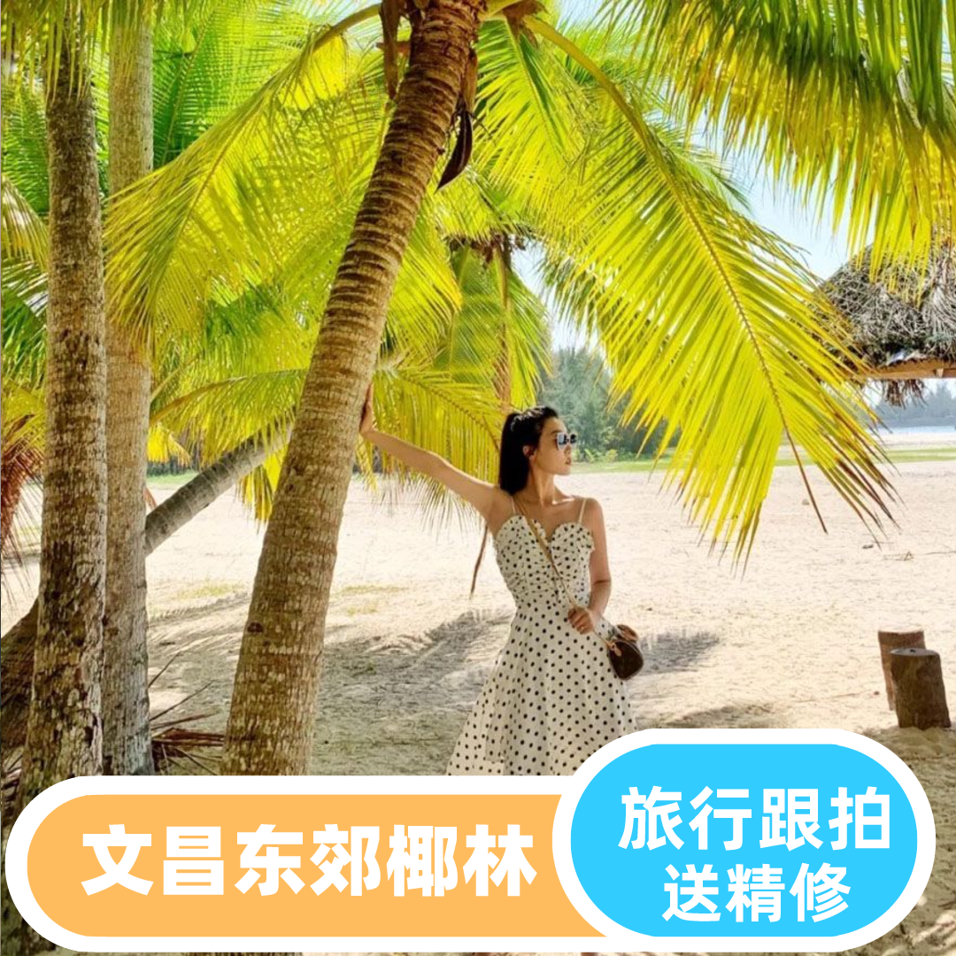 文昌【东郊椰林】优质摄影师亲子跟拍写真情侣全家福小视频