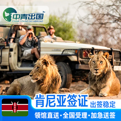 肯尼亚·旅游签证·全国送签·旅行社出国极简个人旅游商务签注5年五年十10多次往返简化办理加急