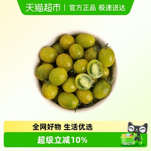 糖珀琥小番茄樱桃小柿子现摘西红柿蔬菜水果