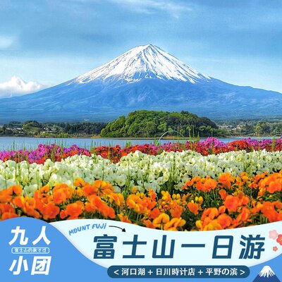 【9人小团】日本旅游东京富士山一日游9人纯玩中文小团可上门接送