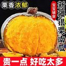 新疆银板栗南瓜正宗沙漠老南瓜粉面香甜辅食新鲜现摘非贝贝瓜粗粮