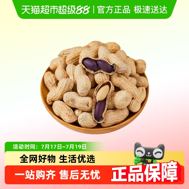 黑玉珍山东特产黑花生原味熟花生