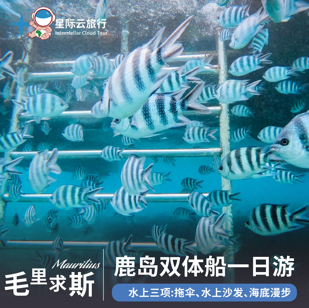 毛里求斯鹿岛双体船一日游  拖伞+水上沙发+海底漫步 2人起订