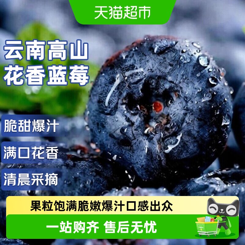 云南高山花香蓝莓应当季新鲜水果特大果礼盒整箱京运达怡佳颗沃