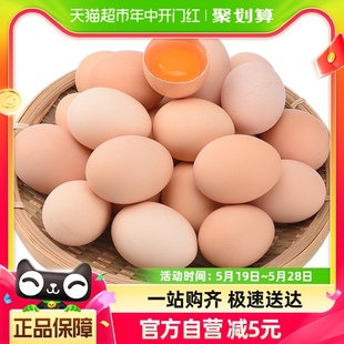 晨诚新鲜土鸡蛋正宗农家散养柴鸡蛋自养笨鸡蛋45g 50枚谷物草鸡蛋
