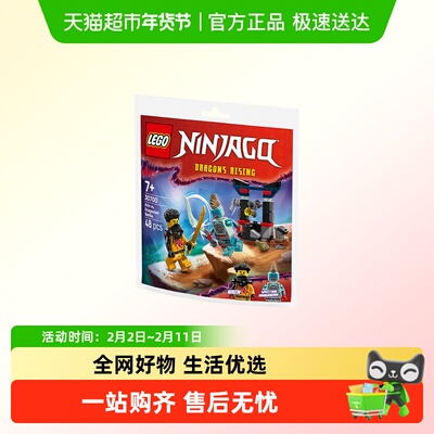LEGO/乐高阿林大战幽灵龙族积木