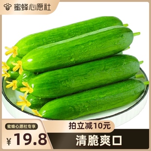 山东潍坊黄瓜水果黄瓜2.5kg 蜜蜂心愿社