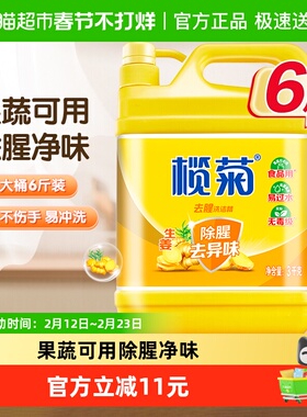 榄菊生姜洗洁精除菌3kg厨房除油去腥商用餐饮洗碗精大桶洗涤剂