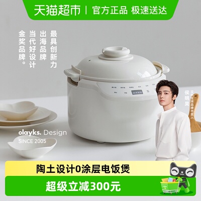 OLAYKS纯陶瓷陶土设计出口电饭煲