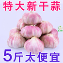 正宗山东金乡大蒜头5斤干蒜紫皮新鲜多瓣独头大蒜头整箱农家 包邮