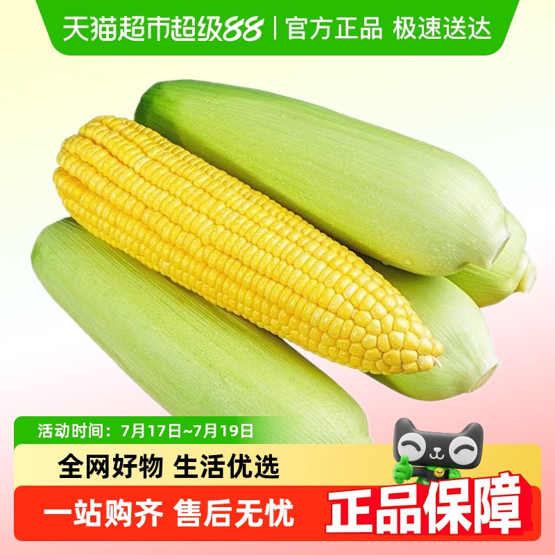 鲁香德水果玉米