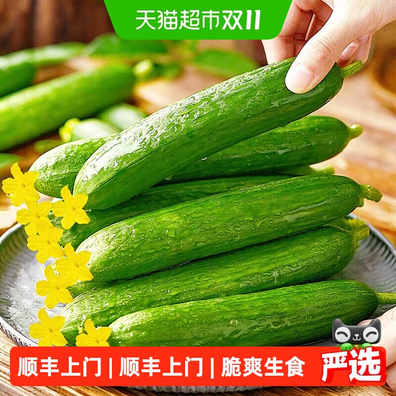 繁花似锦新鲜水果黄瓜脆爽无刺山东寿光产地去皮脆甜多汁削皮生食
