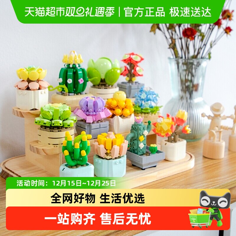 费米积木花治愈系多肉植物盆栽