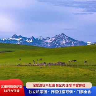 新疆北疆大环线14天13晚阿勒泰到伊犁深度游玩景区直通车无人机