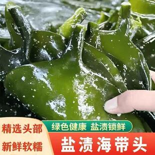 福建霞浦盐渍海带头海带厚片非干货凉拌火锅炖汤整箱批发特厚