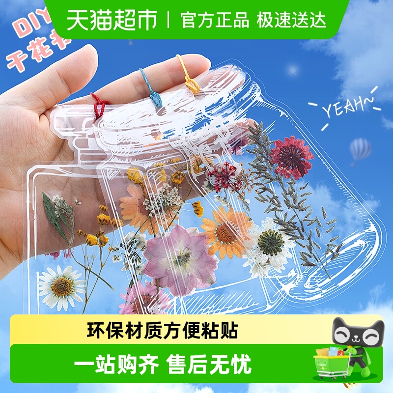 过凡透明干花开学季礼物书签