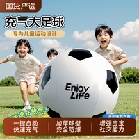 戶外充氣大足球親子互動(dòng)玩具
