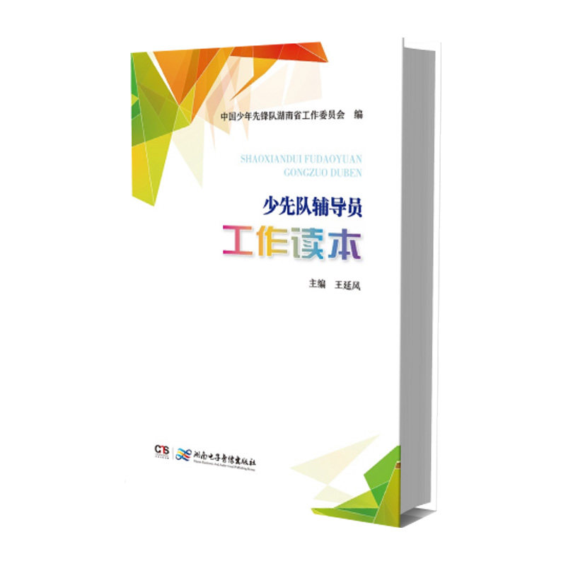少先队辅导员工作读本 王延风 编 湖南电子音像出版社