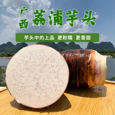 广西荔浦新鲜大芋头农家现挖粉香芋正宗槟榔芋紫纹香芋包邮