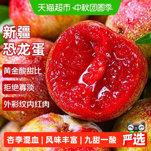 京运达新疆恐龙蛋
