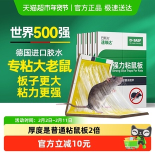 巴斯夫老鼠贴超强力厚粘板抓大老鼠夹扑捉灭胶沾家用捕鼠神器5片