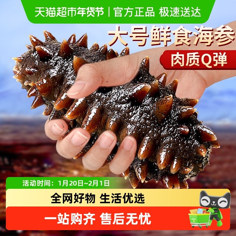 云储大连海参鲜活辽参即食刺身鲜食海参开袋即食新鲜干货礼盒,水产肉类/新鲜蔬果/熟食,海参,淘宝优惠券,粉丝福利购,淘宝优惠卷