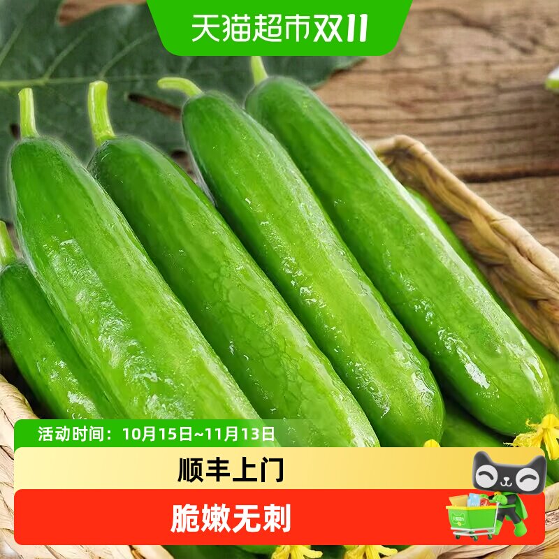 顺丰上门【瓜憨憨】新鲜水果黄瓜脆爽无刺生食脆嫩健康蔬菜