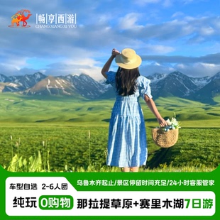 新疆旅游乌市出发赛里木湖库尔德宁那拉提草原天山隧道纯玩7日游