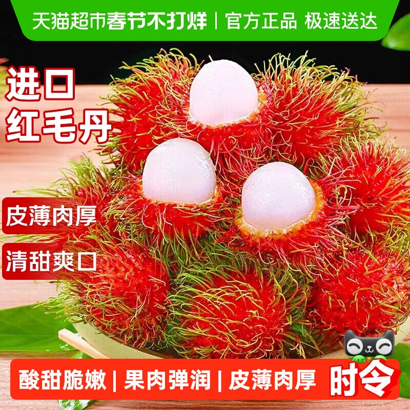 越南进口新鲜红毛丹大果进口热带水果大果毛荔枝毛龙眼整箱