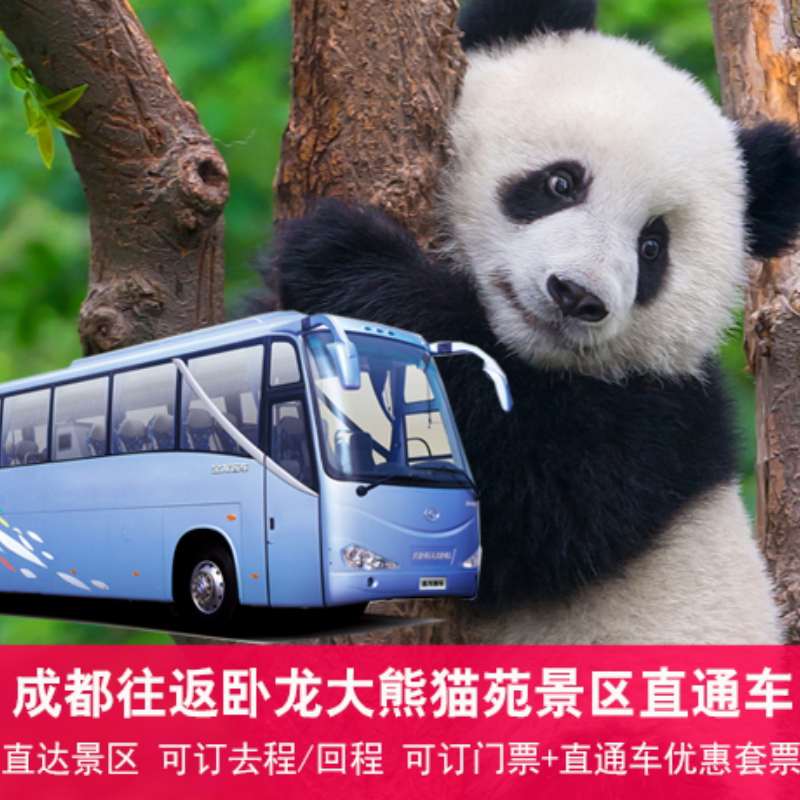 [卧龙中华大熊猫苑-门票+成都至卧龙神树坪基地往返票]卧龙大熊猫园直通车 豪华大巴 可选单程/往返+大门票