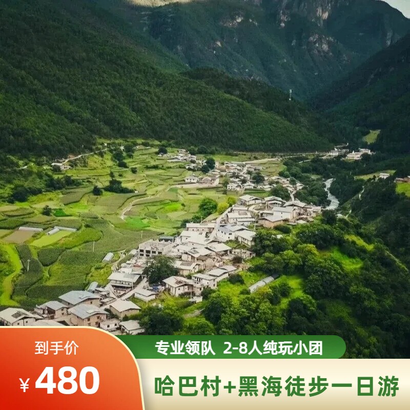 丽江往返 哈巴村+黑海湖 一日游 杜鹃花海 森林牧场 纯玩无购物