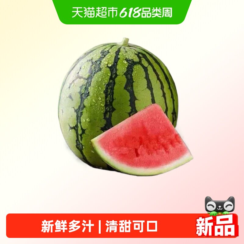 云南高原麒麟西瓜 精品西瓜夏季时令水果新鲜多汁爽口解暑