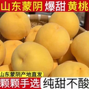 纯甜大黄桃子锦绣黄金蜜毛桃子水蜜桃新鲜水果当季 现摘山东蒙阴