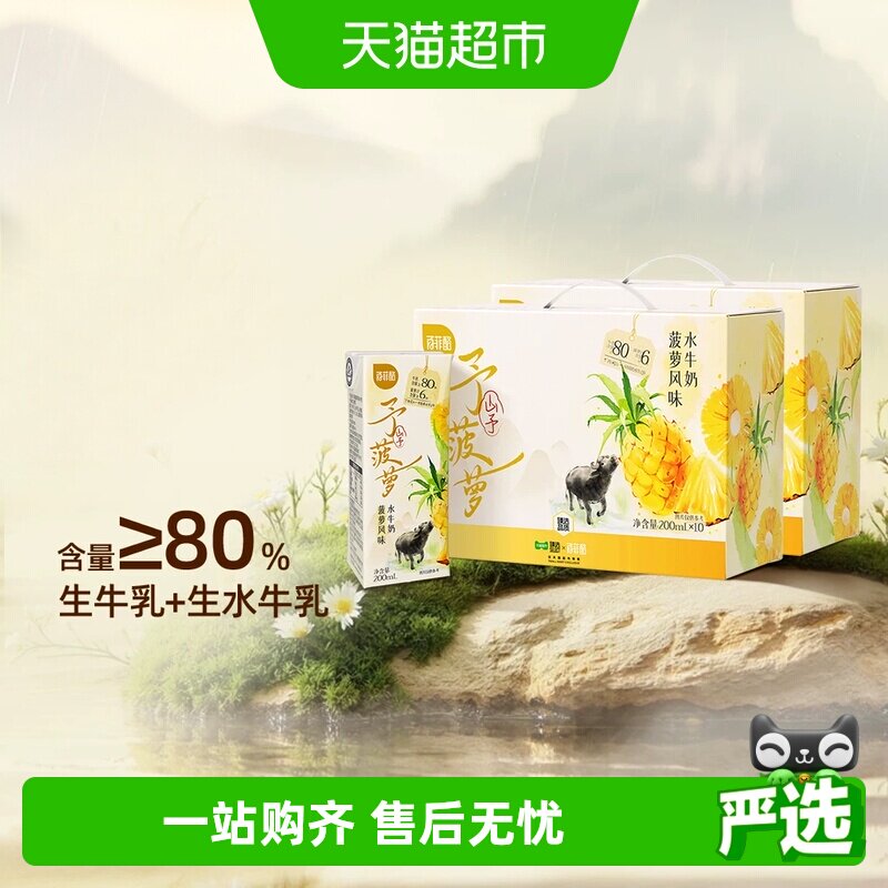 菠萝风味水牛奶10盒*2箱