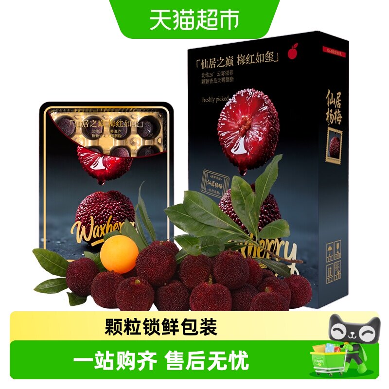 浙江仙居东魁杨梅正宗新鲜杨梅鲜梅锁鲜颗粒装大果现摘当季水果