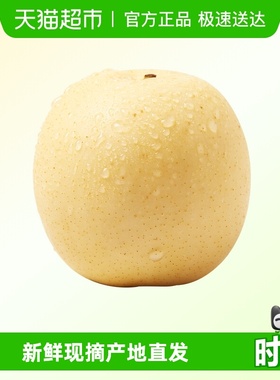 新鲜皇冠梨当季水果酥脆皮薄多汁翠冠梨砀山梨