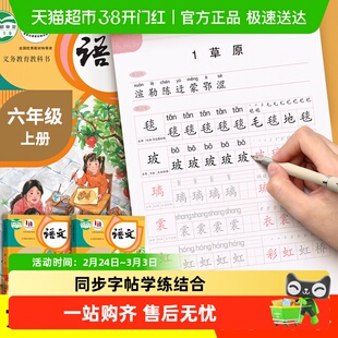 六年级上册语文同步练字帖人教版课本生字字帖小学生专用钢笔楷书