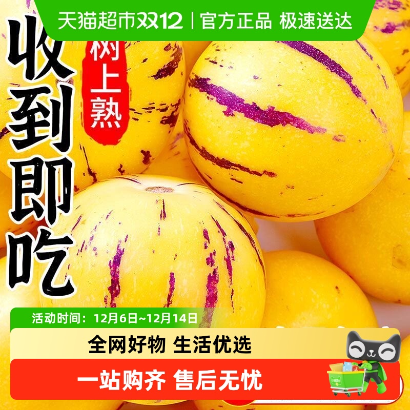 顺丰树上熟人参果新鲜营养