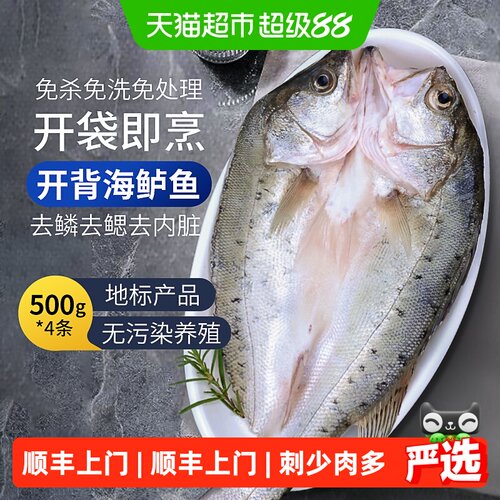 鸿顺去麟去腮去内脏海鲈鱼