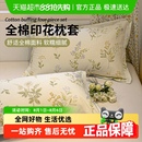纯棉枕头套双人48x74cm枕芯套男加大家用 梦特娇100全棉枕套一对装