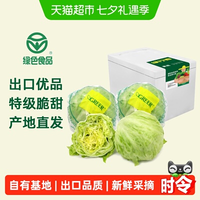 绿行者新鲜蔬菜生菜
