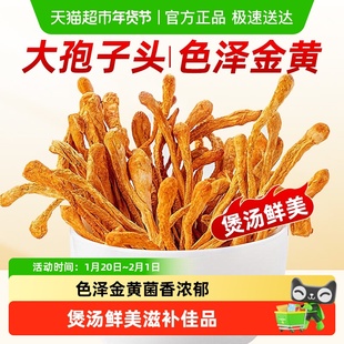 公和堂虫草花大孢子头新鲜干货煲汤虫草搭羊肚菌炖鸡山可蓝