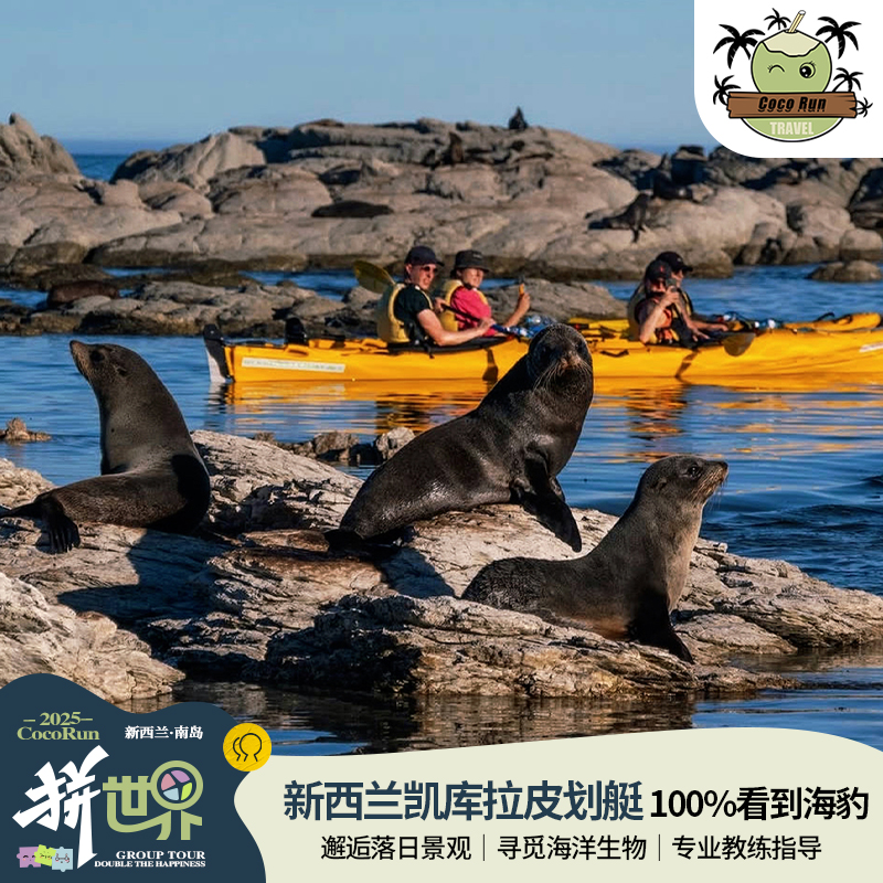 新西兰凯库拉皮划艇追野生动物·观鲸海豚蓝企鹅·100%看海豹