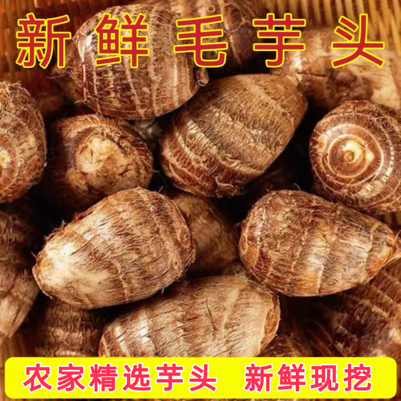 芋头新鲜农家牛奶小香毛芋头新鲜软粉糯批发现挖自种香芋头仔,水产肉类/新鲜蔬果/熟食,芋头,淘宝优惠券,粉丝福利购,淘宝优惠卷