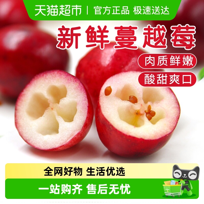 黑龙江蔓越莓当季新鲜水果孕妇水果整箱