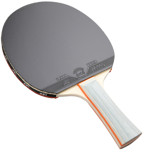 友谊729乒乓球拍郝帅四星4星乒兵球单拍三星儿童初学者兵兵板3星